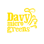 Davy-yellow